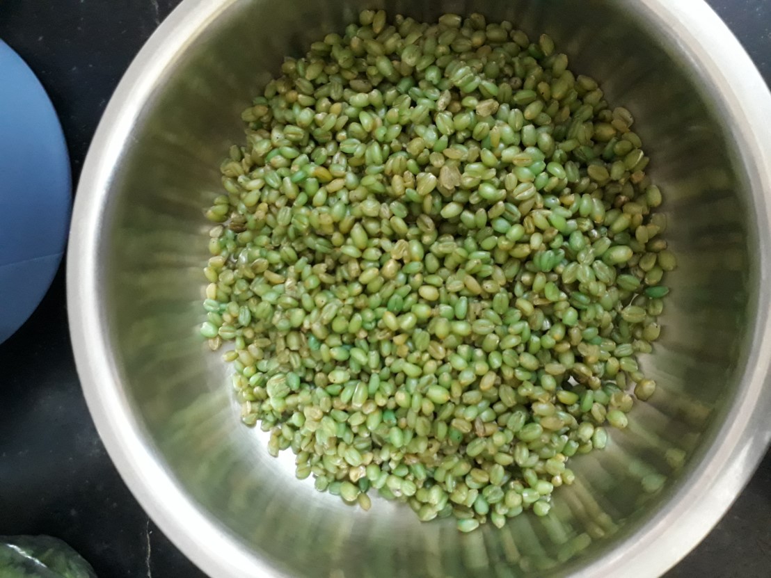 Fresh Wheat Berries