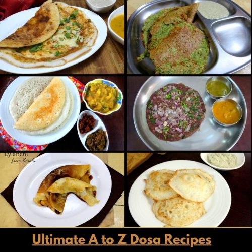 Ultimate Dosa Collection